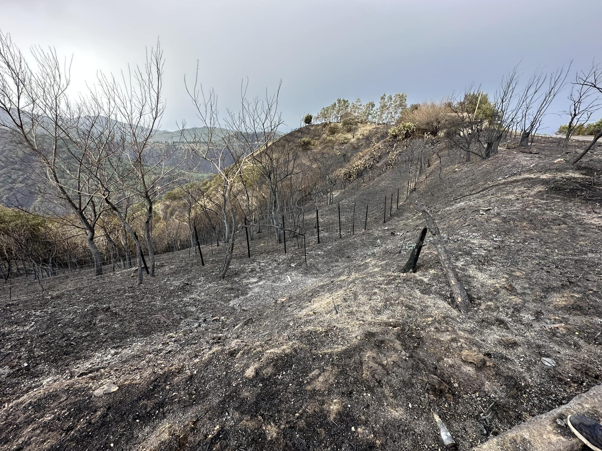 Incendi Nel In Calo Al Centro E Al Nord Aumento Al Sud Sicilia