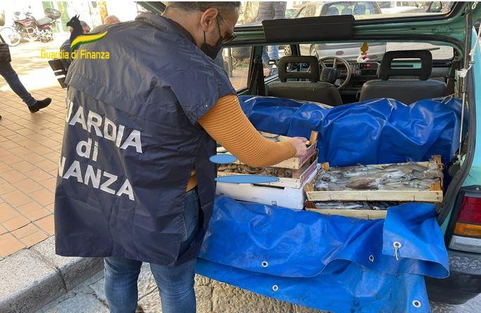 COMMERCIO ILLEGALE DI SPECIE ITTICHE: SEQUESTRATI 8.500 KG DI PESCE IN CARENTI CONDIZIONI DI SICUREZZA E DESTINATO AL CONSUMO